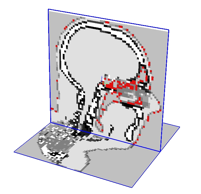 skull-ct3.jpg
