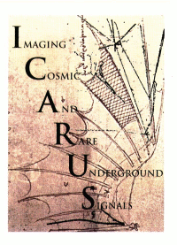 
ICARUS
 logo