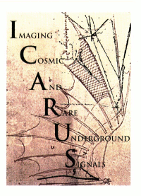 
ICARUS
 logo